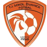 https://img.zyzdzcgs.com/img/football/team/5477d301041e00b2de35d5eeea2fabb4.png