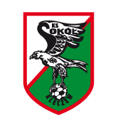 https://img.zyzdzcgs.com/img/football/team/e6a8908dd206e2ea02d9803c82c60bba.png